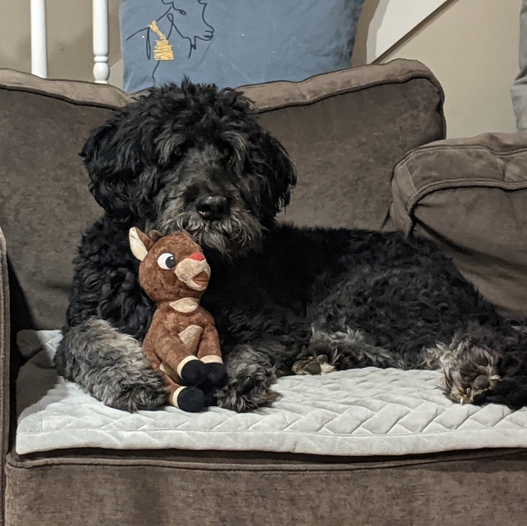 Meet your Posher, Angela - Picture 2 of 5